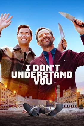 I Don't Understand You